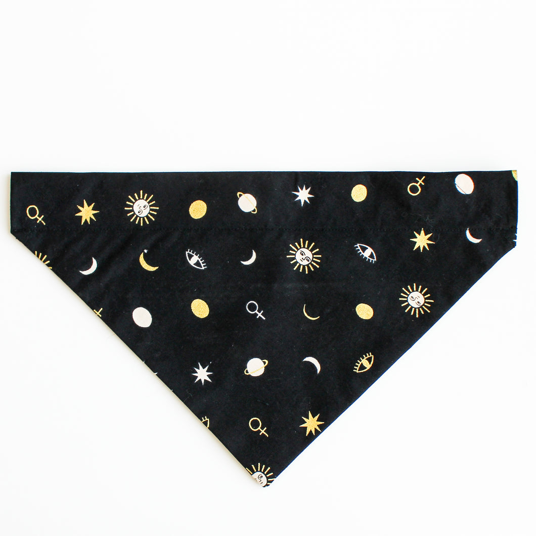 Honey Comb & Bees Dog Bandana